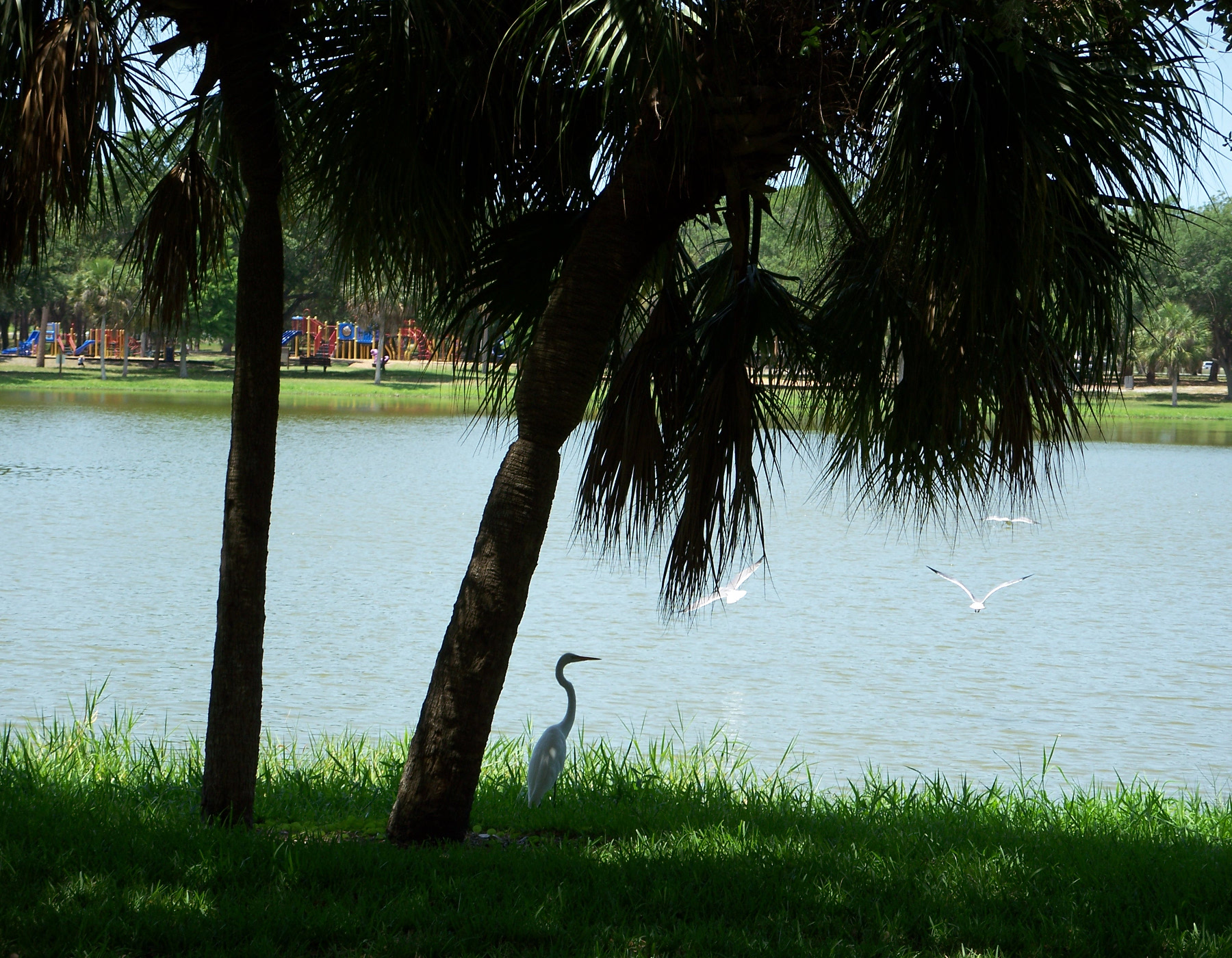 Photo of Lake Seminole